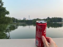 -朝阳公园