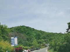 -南京老山国家森林公园