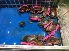 -琼菜人家·海南菜·文昌鸡(文昌大道店)