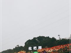 -枇杷园食为鲜火锅(南山店)