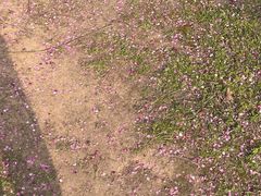 -蜀冈西峰生态公园