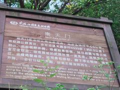 -武陵山森林公园