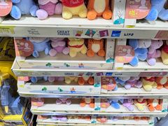 -山姆会员商店(亦庄创意生活广场店)
