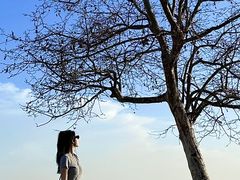 -青岛第三海水浴场