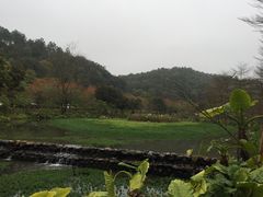 -田野绿世界