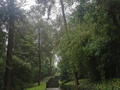 -铁山坪森林公园