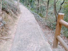 -上海佘山国家森林公园天马山园