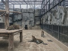 -石家庄市动物园