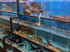 水产区-盒马鲜生(宝地店)