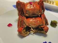 -食悦江南·淮扬菜·烤鸭(亚运村·惠新店)