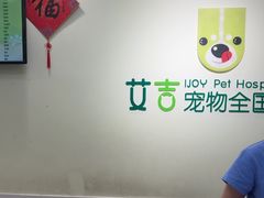 -艾吉宠物医院·疑难杂症转诊中心·猫友好(碧江路院)