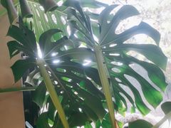 -小意思咖啡店(草桥店)