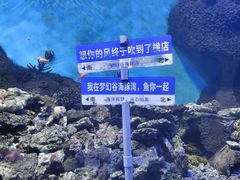 -横店影视城梦幻谷园区