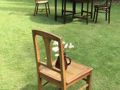 -上海滨江森林公园
