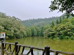 -滴水岩森林公园