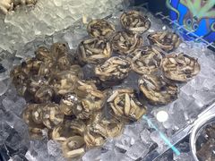 -铭聚章鱼土笋冻(松柏店)