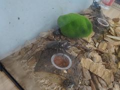 -上海昆虫博物馆