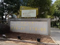 -华西村