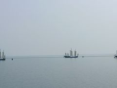 -贡湖湾湿地公园
