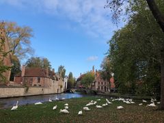 -布鲁塞尔大广场