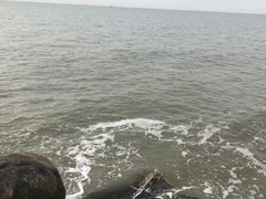 -老虎石海上公园