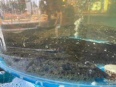 -蓝珊甄选海鲜自助·火锅大排档(近阿那亚店)
