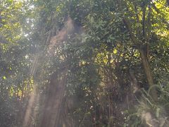 -腾冲洞山温泉村