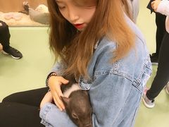 -藦茜花园宠物主题亲子互动体验馆(国顺东路店)