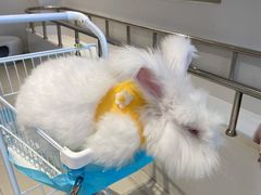 -怪兽屋·羊驼·猫咖·狗咖(俊华广场店)