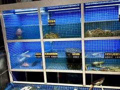 -金龙·打边炉(南京西路店)