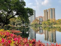 -晓港公园