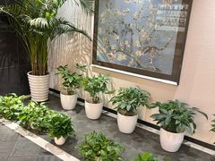 -黑松白鹿(金融街店)