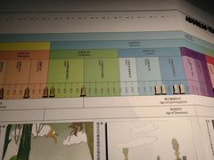 -安徽省地质博物馆