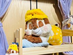 -小镇影院迪士尼小熊Duffy与他的朋友合影地