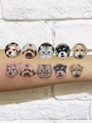 -海王刺青·纹身·穿孔饰品·TATTOO