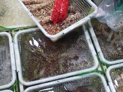 -老字号蛇口德记烧腊饭店·海鲜加工