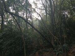 -石峰公园