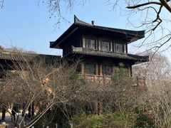 -习家池