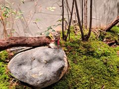 -森SPA·泰式按摩·精油Massage(宝安中心店)