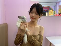 -Moni星球萌宠·小马宝莉·灵蛇·高端高阶全萌宠互动体验俱乐部(红豆国际广场店)