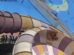 -上海玛雅海滩水公园