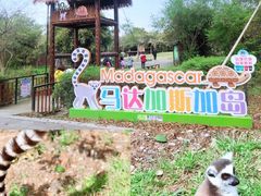 -深圳野生动物园