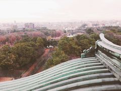 -名古屋城