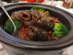 -顺德佬华侨城店·商务宴请·团建