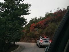 -鲁山国家森林公园