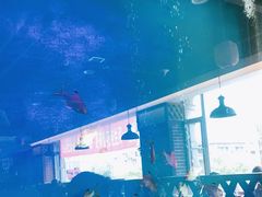 -午月海鲜烧烤酒店(不老街店)