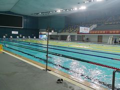 -重庆市奥林匹克体育中心-游泳跳水馆