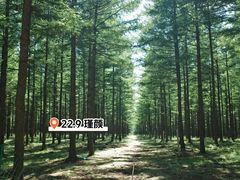 -塞罕坝国家级自然保护区