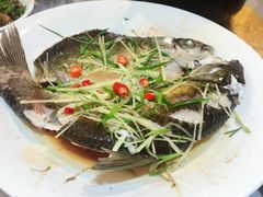 清蒸冷水鲩鱼无污染-小辣椒(华富店)