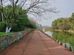 -艾溪湖湿地公园